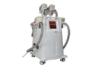 Weight Loss Fat Freezon Cryolipolysis Slimming Machine With 4 Treatment Heads
